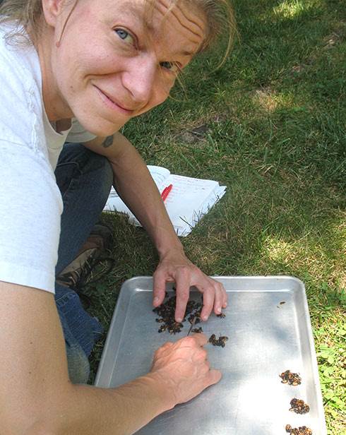 Kelly Rausch performing bee count for Alcohol Wash sample percentage