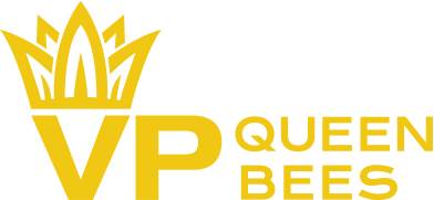  VP Logo